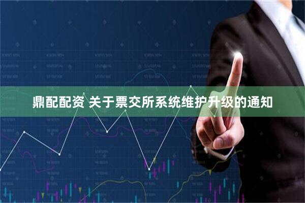 鼎配配资 关于票交所系统维护升级的通知