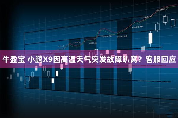 牛盈宝 小鹏X9因高温天气突发故障趴窝？客服回应